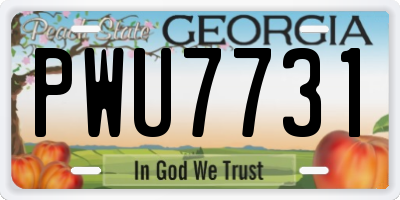 GA license plate PWU7731