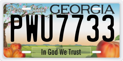 GA license plate PWU7733
