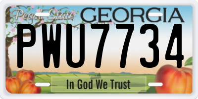 GA license plate PWU7734
