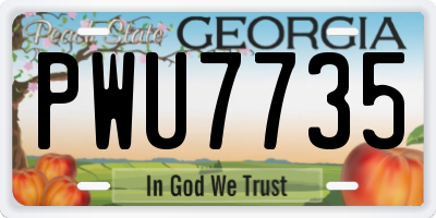GA license plate PWU7735