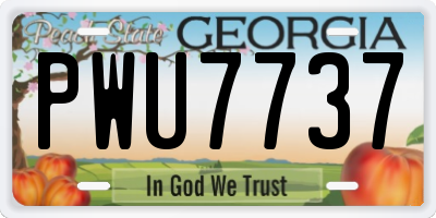 GA license plate PWU7737