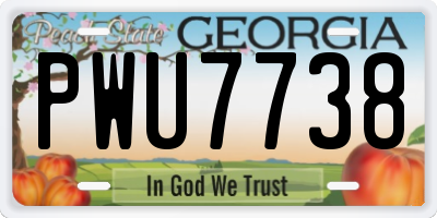 GA license plate PWU7738