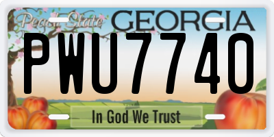 GA license plate PWU7740