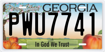 GA license plate PWU7741