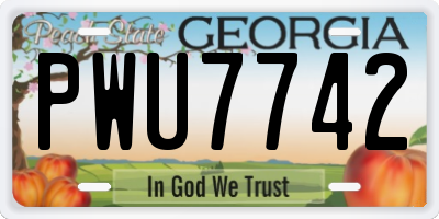GA license plate PWU7742