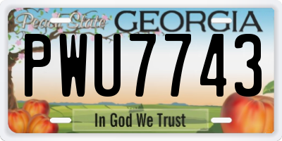 GA license plate PWU7743