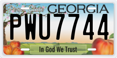 GA license plate PWU7744