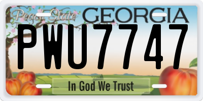GA license plate PWU7747