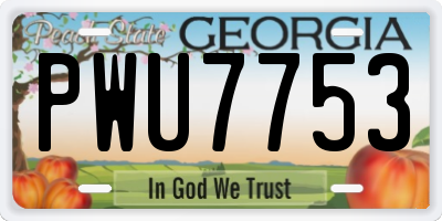 GA license plate PWU7753