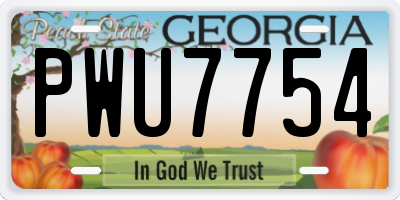 GA license plate PWU7754