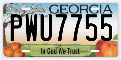 GA license plate PWU7755