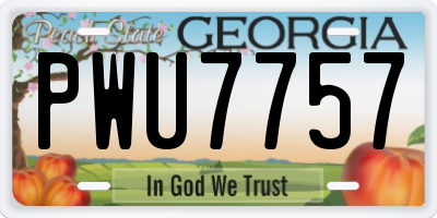 GA license plate PWU7757