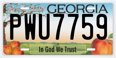 GA license plate PWU7759
