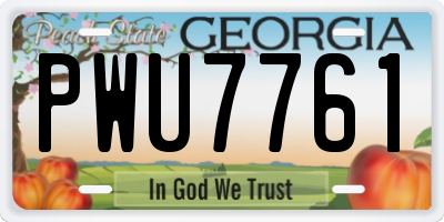GA license plate PWU7761