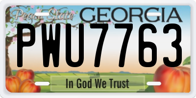 GA license plate PWU7763