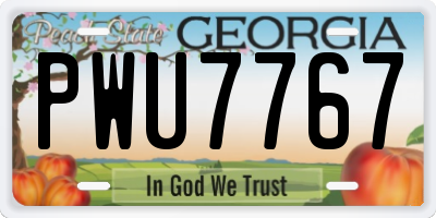 GA license plate PWU7767
