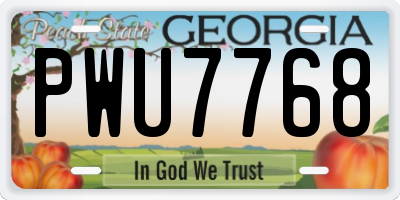 GA license plate PWU7768