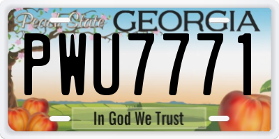 GA license plate PWU7771
