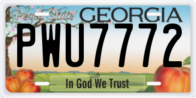 GA license plate PWU7772