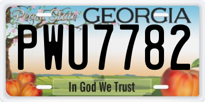 GA license plate PWU7782