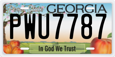 GA license plate PWU7787