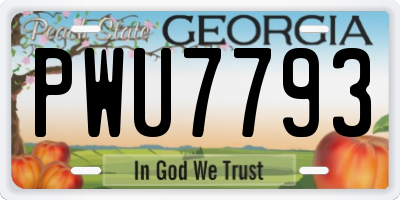 GA license plate PWU7793
