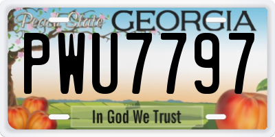 GA license plate PWU7797