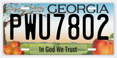 GA license plate PWU7802