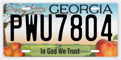 GA license plate PWU7804