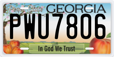 GA license plate PWU7806