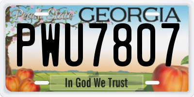 GA license plate PWU7807