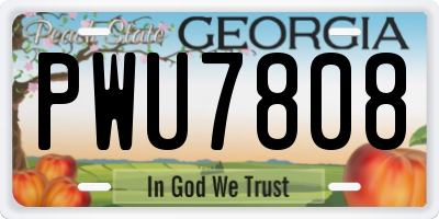GA license plate PWU7808