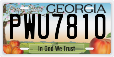 GA license plate PWU7810