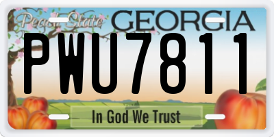 GA license plate PWU7811