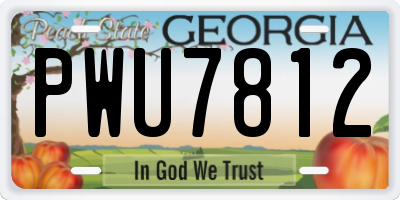 GA license plate PWU7812