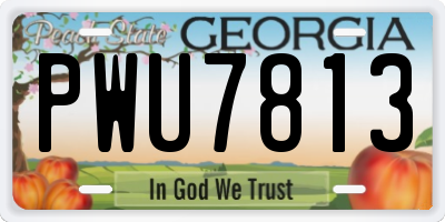 GA license plate PWU7813