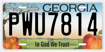 GA license plate PWU7814
