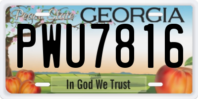 GA license plate PWU7816