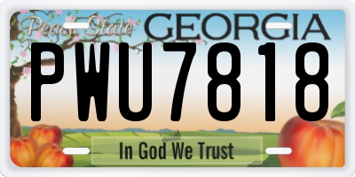 GA license plate PWU7818