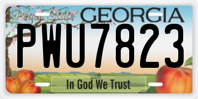 GA license plate PWU7823