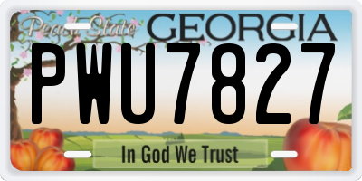 GA license plate PWU7827