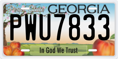 GA license plate PWU7833