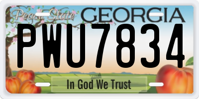 GA license plate PWU7834