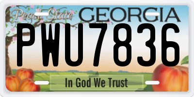 GA license plate PWU7836