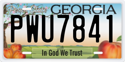 GA license plate PWU7841