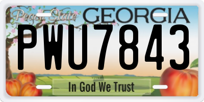 GA license plate PWU7843