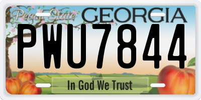 GA license plate PWU7844