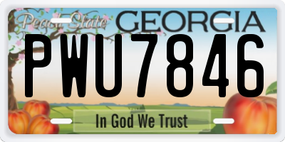 GA license plate PWU7846