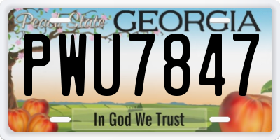 GA license plate PWU7847