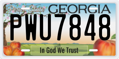 GA license plate PWU7848